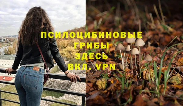 дурь Лабытнанги