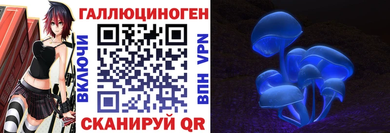 Псилоцибиновые грибы GOLDEN TEACHER  купить наркотик  Шуя 